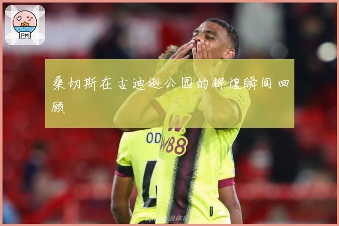 桑切斯在古迪逊公园的辉煌瞬间回顾