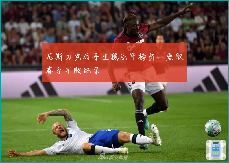 尼斯力克对手坐稳法甲榜首,豪取赛季不败纪录